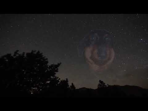 Видео: Dawg stream 01.09.20(Криминальный город)