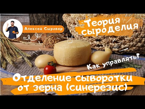 Видео: Отделение сыворотки от зерна (синерезис).  Как управлять?