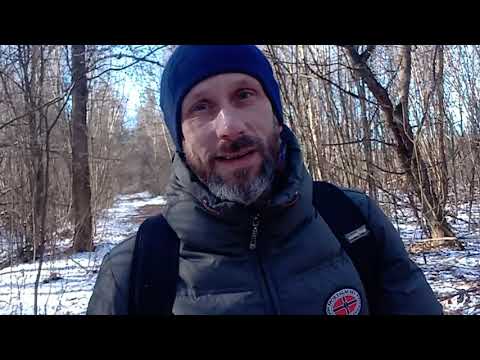 Видео: Год без сигарет. Делюсь опытом, что со со мной стало