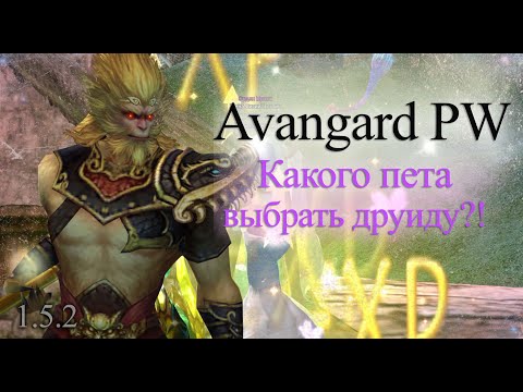 Видео: Бао, робот, обезьяна, гарпия какого пета выбрать дру в Perfect world? Делаем разбор на Avangard PW
