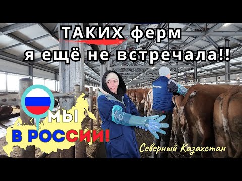 Видео: 176 Я в Казахстане. Зато руки в тепле / Канал Полины