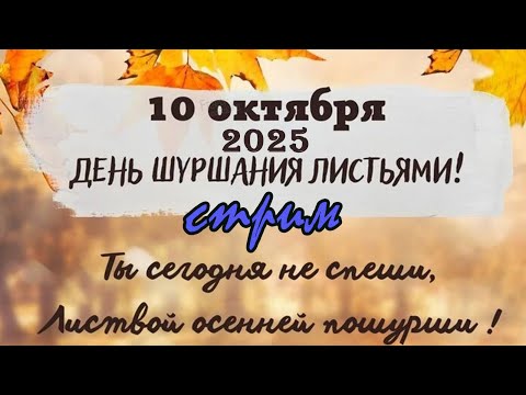 Видео: Пятничный ночной стрим (10.10.2025) День шуршания листьями!