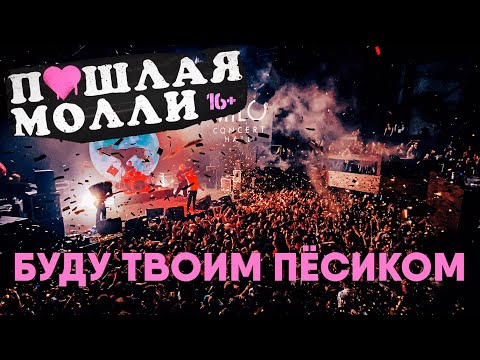 Видео: ПОШЛАЯ МОЛЛИ — Буду твоим пёсиком |  21.02.2020 НИЖНИЙ НОВГОРОД
