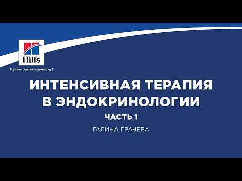 Видео: Вебинар на тему: "Интенсивная терапия в эндокринологии, ч.1". Лектор - Галина Грачева