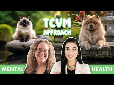 Видео: Как TCVM может улучшить общее самочувствие вашего питомца