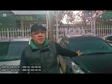 Видео: 5 ноября 2025 г.