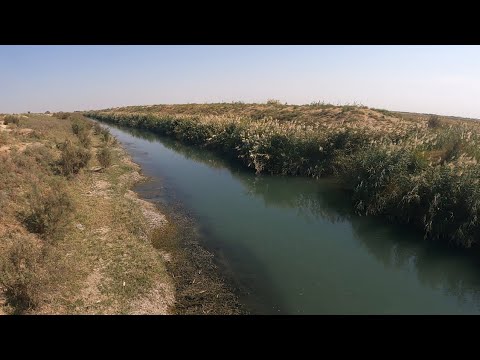Видео: Baliq ovi. Tридцатка. Солянка. 29.09.2025 y. 