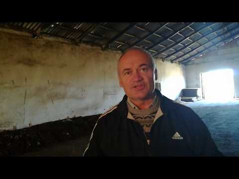 Видео: Вермиферма на 1000 кв.м +380931387514