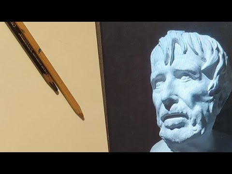 Видео: Эфир Наброски Разных Гипсовых Голов Самоизоляция