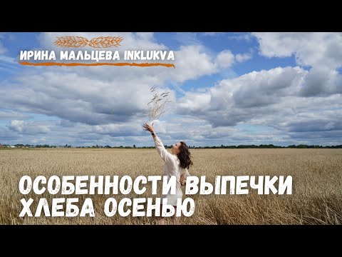 Видео: Важные особенности выпечки хлеба осенью