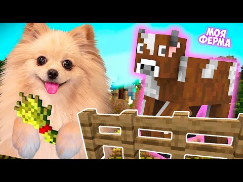 Видео: МОЯ ЭКСТРЕМАЛЬНАЯ ФЕРМА В МАЙНКРАФТ ! ПОШЛА НОЧЬЮ ЗА КОРОВКАМИ В MINECRAFT