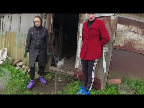 Видео: Успеть всё за один день 😀😀😀
