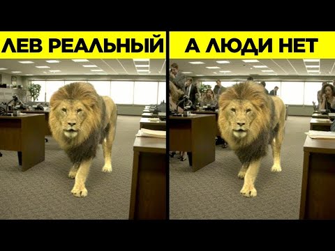 Видео: Убедительная Графика, Которую Вы Приняли За Реальные Сцены