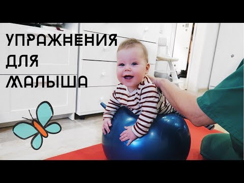 Видео: Учимся ползать/ Укреплаяем СПИНУ,РУКИ,ОПОРУ/ На мяче, на полу