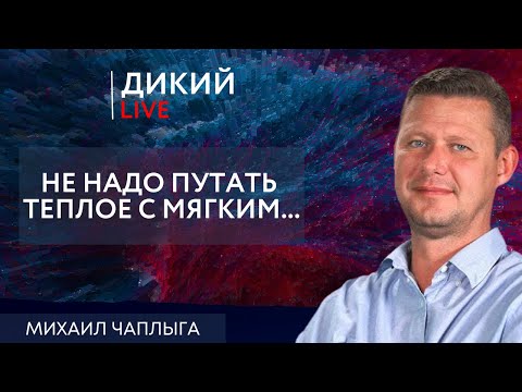 Видео: Любовь за деньги. Михаил Чаплыга. Дикий LIVE.