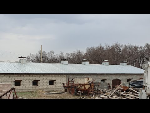 Видео: База на 90 голов.Размеры сарая