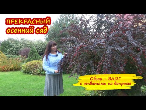 Видео: Прекрасный осенний сад. Что делать с растениями в октябре? Большой обзор с ответами на вопросы.