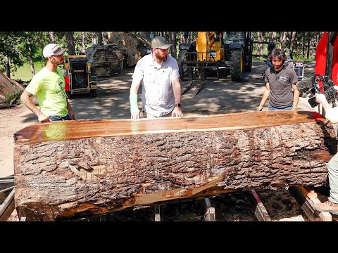 Видео: Они привезли самый большой и чистый грецкий орех, который я когда-либо видел