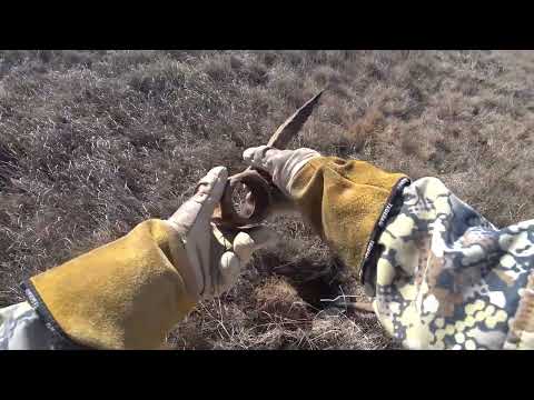 Видео: Коп на фундаментах