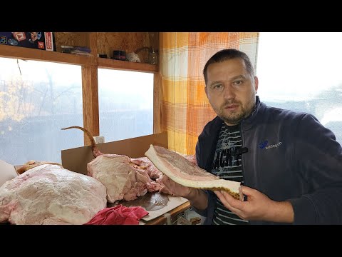 Видео: ‼️Кабан 🐷 7,5 місяців = 240 🥩 Наші Ціни на сало м'ясо. Сала мало, одне м'ясо #pig #farming 