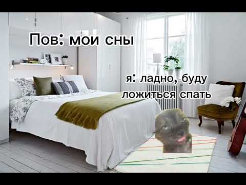 Видео: СБОРНИК ВИДЕО С МЕМНЫМИ КОТАМИ! 12 минут видео с мем котами!