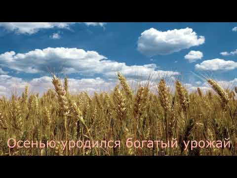 Видео: ОНИ ПОДНИМАЛИ ЦЕЛИНУ. с.Калининский,Жаксынского района, Акмолинской области. 1часть.