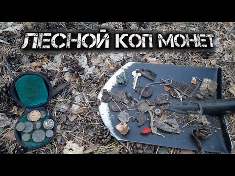 Видео: ЛЕСНОЙ КОП МОНЕТ 💰. С металлоискателем ТС-800 👍