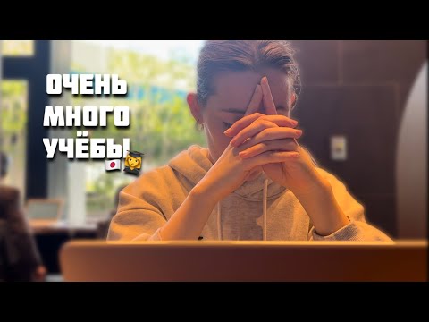Видео: Моя последняя сессия в японском колледже 👩‍🎓🇯🇵