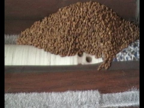 Видео: Висівний апарат.