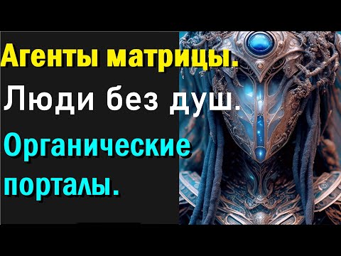 Видео: Агенты матрицы. люди без душ. Органические порталы. Том Монтолк.