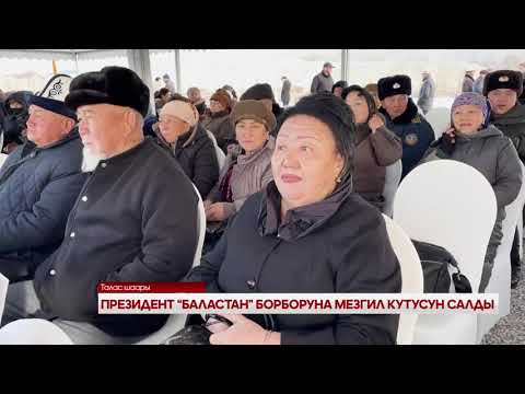 Видео: ПРЕЗИДЕНТ “БАЛАСТАН” БОРБОРУНА МЕЗГИЛ КУТУСУН САЛДЫ