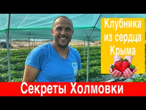 Видео: Секреты Холмовки. Теплицы для Клубники по Итальянской технологии (Тоннели). Малообъемка