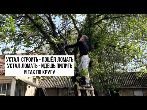 Видео: Жизнь и ремонт дома в сербском селе #жизньзаграницей #переездвсербию #покупканедвижимости #сербия