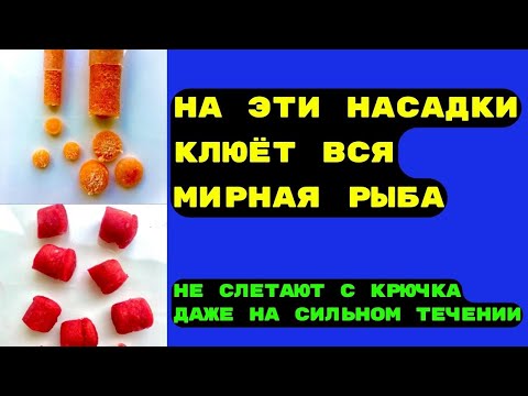 Видео: Две насадки для рыбалки на КАРАСЯ, КАРПА, ЛЕЩА. Прочные, ароматные, легко готовить.