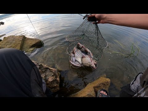 Видео: Поймал ЛЕЩА - утолил ЖАЖДУ!