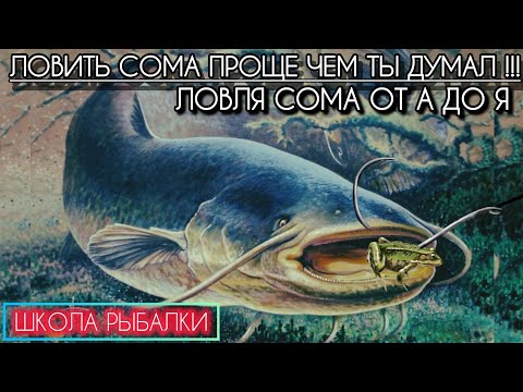 Видео: ГДЕ? КАК? НА ЧТО? ЗАНАЙ ЭТО,чтобы ловить с берега СОМА! Ловить СОМА легко !!! СОМ НА ДОНКУ!!! #сом