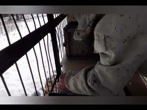 Видео: Метод С.Гопка в сравнении.