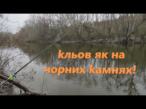 Видео: р.Псьол. Кльов Як На Чорних КАМНЯХ!