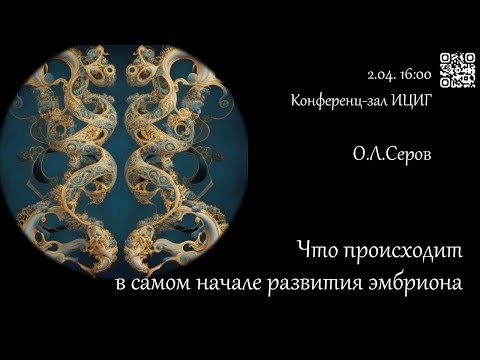 Видео: О.Л.Серов «Что происходит в самом начале развития эмбриона»