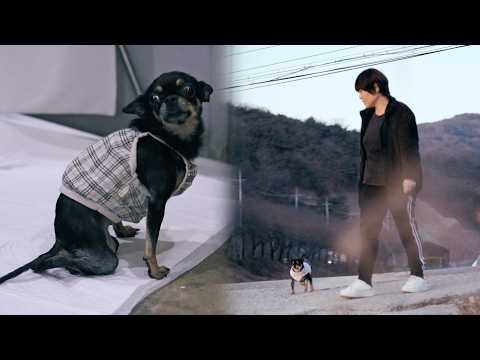 Видео: Что происходит, когда вы волочите задние ноги, а затем идете (Лили - Часть 4)