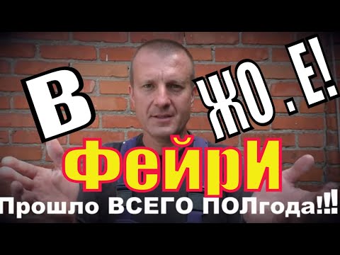 Видео: Раствор с ФЕЙРИ в ЖО..Е! Часть 2 ЛАБОРАТОРНЫЙ тест через ПОЛГОДА!