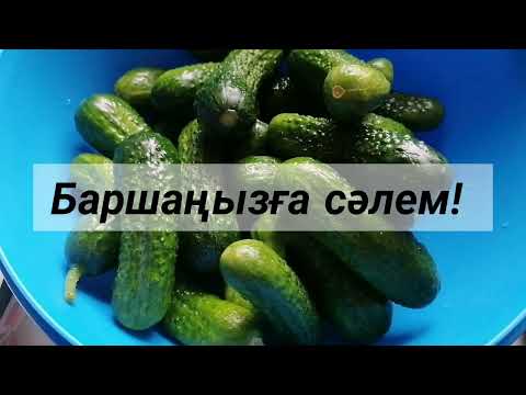 Видео: Хрустящие огурцы по-корейски на зиму. Кәріс қиярларын қысқыға сақтау.
