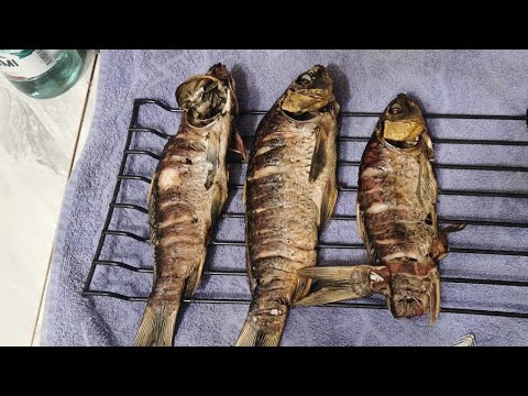 Видео: Копчения рыбы  в советской духовке было вкусно