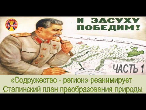 Видео: ПОСАДКА ЛЕСОПОЛОС в "Большом Морце"