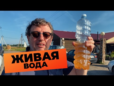 Видео: ЖИВАЯ ВОДА/КАРЕЛИЯ/КИВАЧ