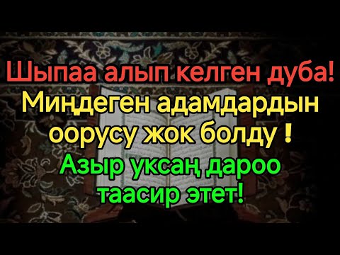 Видео: Пайгамбардын дубасы! 🤲МИҢДЕГЕН АДАМДАР ДАРЫСЫЗ АЙЫГЫП КЕТТИ