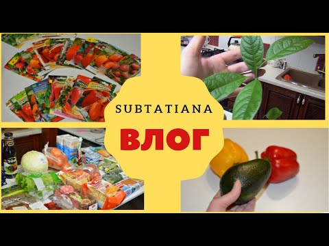 Видео: ✅ВЛОГ✅Пустой холодильник✅Запасы семян✅Вот что выросло из косточки