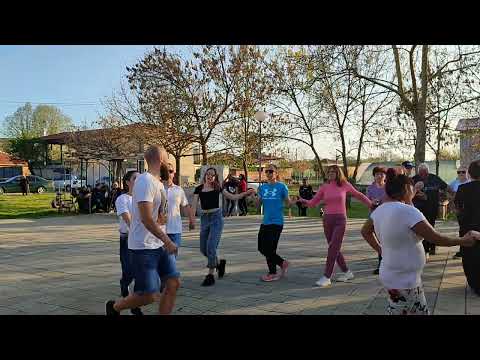 Видео: Бяла роза и китка песни - Самоковско хоро