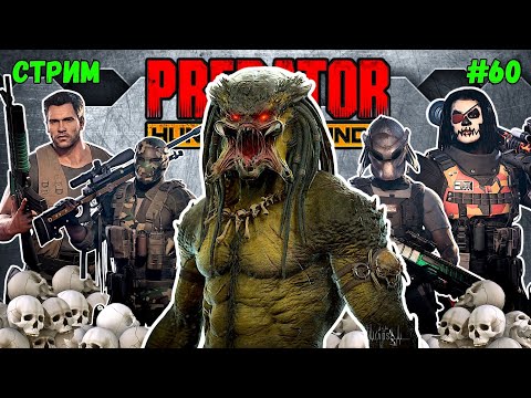 Видео: Predator Hunting Grounds ➤ СТРИМ #60 #predator