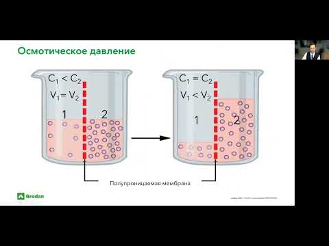 Видео: Водный баланс растений.Часть 2.2.
